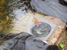 Blocked Drain